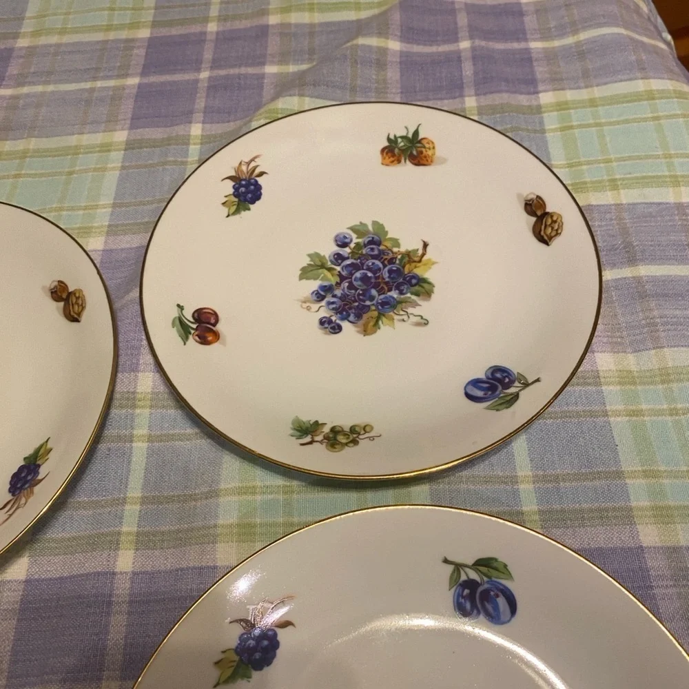 Bohemia Fruit Painted Plate Set of 6